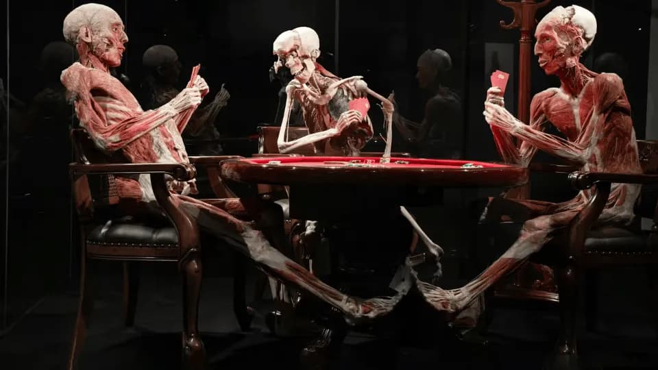 BODY WORLDS – The Happiness Project: Skip The Line Ticket - Image 1